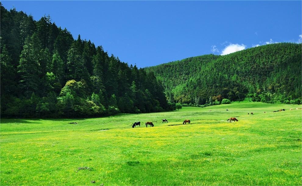 農(nóng)業(yè)部:2014年(nián)為(wèi)全國(guó)農(nóng)産品質量安全監管年(nián)