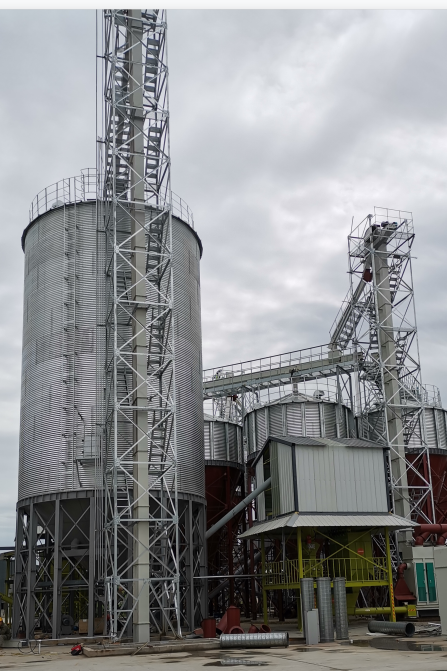 萬隻羊場(chǎng)飼料方案