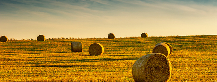 稭稈資源化(huà)利用(yòng)解決方案